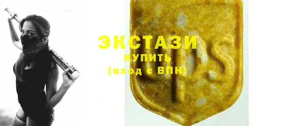 ECSTASY Богородицк